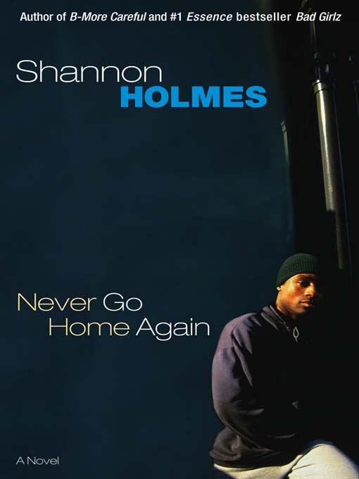 Title details for Never Go Home Again by Shannon Holmes - Wait list